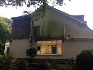 render gone green with lichen