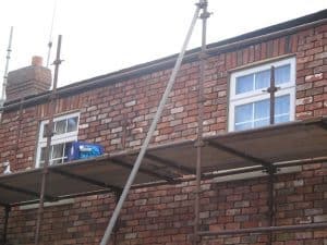 Brick tiles on wall